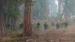 Interagency Bear Jaw Fire and Fuels Management Crew Photo Courtesy of Molly Ottman