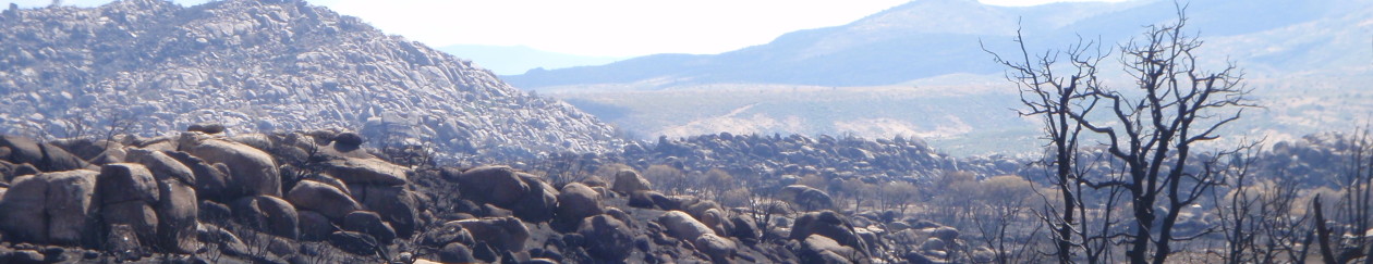 Wildland Firefighter Guardian Institute